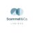 Illustration du profil de Scammell & Co. Lawyers Lawyers Adelaide